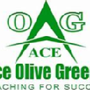Photo of Ace Olive Greens
