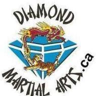 New Diamond marshal art and sport Acadamy Self Defence institute in Pune