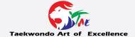 Taekwondo Art of Excellence Self Defence institute in Chennai