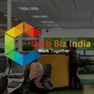 Web Biz India. Web Designing institute in Delhi