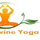 Photo of Divine Yoga Studio 