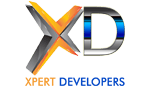 Xpert Developers Web Designing institute in Delhi