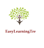 EasyLearning Safe Agilist Course institute in Bangalore