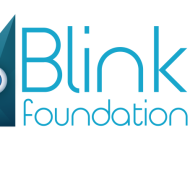 Blink Foundation Summer Camp institute in Chennai