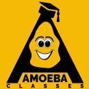 Photo of Amoeba Classes