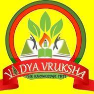 Vidya Vruksha Computer Networking institute in Noida