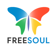 Freesoul Technology Services LLP Cyber Security institute in Bangalore