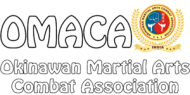 Mixed Martial Arts Club Boxing institute in Mumbai