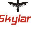 Photo of Skylark