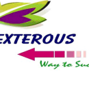 Photo of Dexterous (Veda Engineering Services)