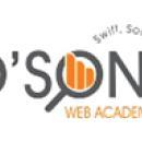 Photo of Dson Web Academy 