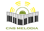 CnS Melodia Music Academy Pvt. Ltd. Drums institute in Pune