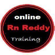 Rn Reddy .Net trainer in Hyderabad
