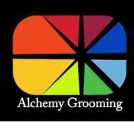 Alchemy Grooming Personality Development institute in Jaipur