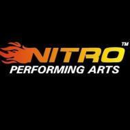 Nitro Performing Arts Guitar institute in Delhi