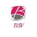Photo of Bsv Global Solutions