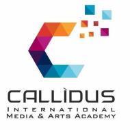 Callidus Callidus Media & Arts Academy Journalism institute in Pune