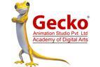 Gecko Animation Studio Academy Animation & Multimedia institute in Jaipur