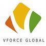 V Force Global .Net institute in Deshbandhunagar