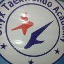 Photo of Onyx Taekwondo Academy 