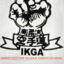 Photo of North Eastern Gojukai Karate Do India 
