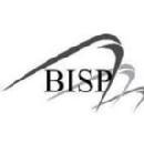 Photo of BISP Solutions Inc.