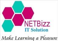 NETBizz BCA Tuition institute in Pune