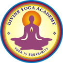 Photo of Divine Yoga Academy