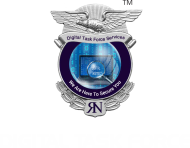 Digital Task Force Cyber Security institute in Pune