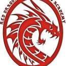 Photo of Red Dragon Martial Art Academy