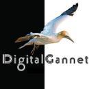 Photo of Digital Gannet