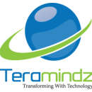 Photo of teramindz