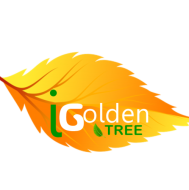 IGolden Tree Scholarships Web Designing institute in Delhi
