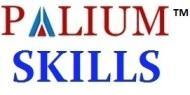 Palium Skills Staad Pro institute in Kolkata