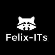 Felix IT Systems Data Science institute in Pune
