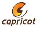 Photo of Capricot Technologies Pvt Ltd