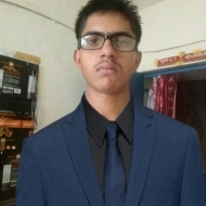 Rohit P. Class 11 Tuition trainer in Delhi