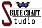 Blue Craft Studio Photography institute in Delhi