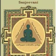 Sanjeevani Yoga Yoga institute in Chennai