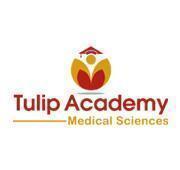 Tulip Academy Medical Entrance NEET-UG institute in Ludhiana