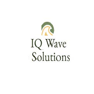 IQ Wavesolution Salesforce Certification institute in Hyderabad