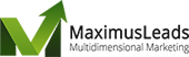 Maximus Leads Digital Marketing institute in Pune