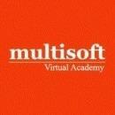 Photo of Multisoft Virtual Academy