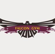 F A L C O N Fitness Aerobics institute in Mumbai