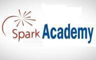 Spark Academy BTech Tuition institute in Rajpura