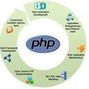 Photo of Php Expert In Jaipur