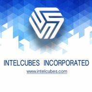 Intelcubes Incorporated Big Data institute in Pune