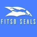 Photo of Fitso - Premium Swimming Classes