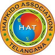 Hapkido Self Defense Self Defence institute in Hyderabad