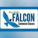Photo of Falcon Classes